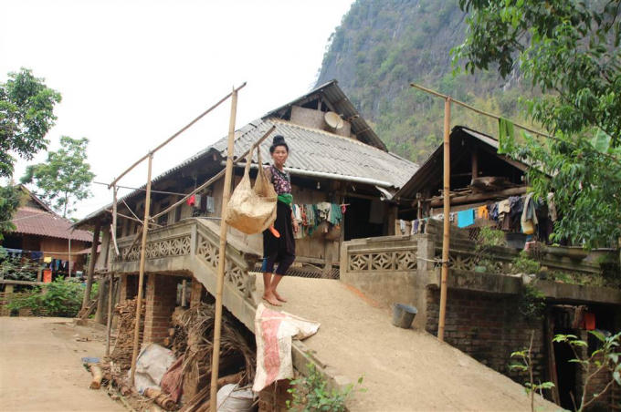 Cây cao su đã không mang lại sinh kế cho người dân như mong đợi?