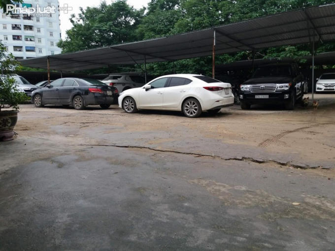 Rất nhiều xe ô tô được trông giữ tại đây