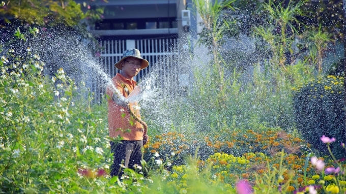 Chăm chút những cây hoa cuối mùa phục vụ Tết.
