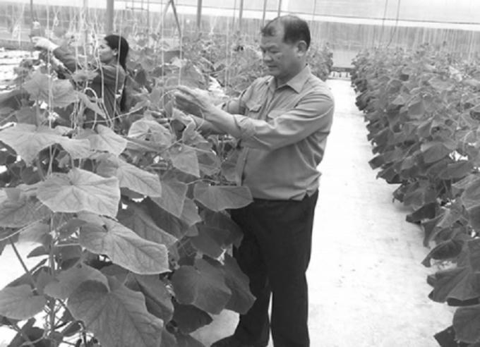 &Ocirc;ng Phạm Tiến Sinh, v&agrave; m&ocirc; h&igrave;nh trồng dưa trong nh&agrave; k&iacute;nh ứng dụng c&ocirc;ng nghệ cao của Isarel.