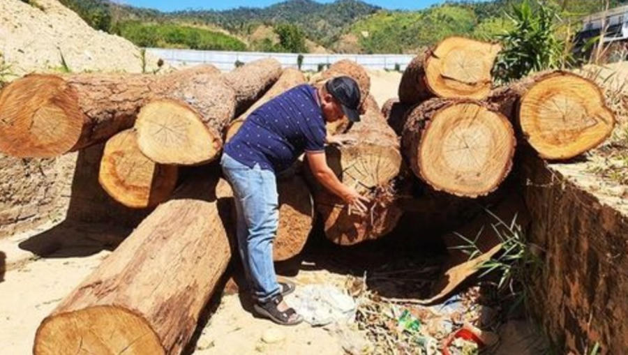 Screenshot_20230304-120043_Zalo