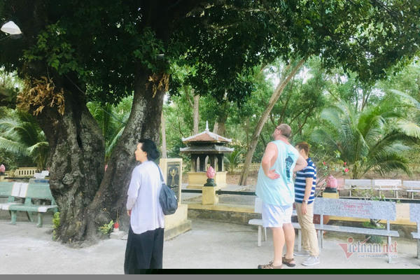Các du khách đến miếu, thắp hương cho bà Phi Yến xong, họ dừng chân dưới gốc những cây thị nghe kể lại câu chuyện về hành trình bôn tẩu (chạy trốn) của vua Nguyễn Ánh.