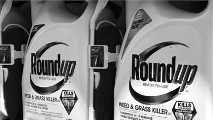 Chất diệt cỏ Roundup của tập đoàn Monsanto, được bày bán tại Encinitas, California, HoaKỳ, ngày 26/06/2017.