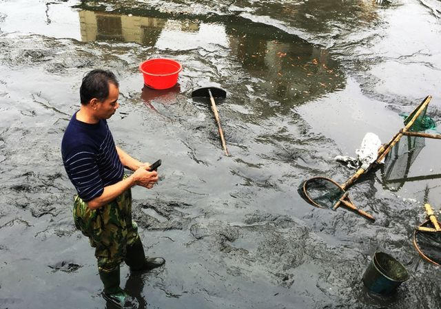 Theo ông Thọ, thời điểm này, cá ông Công, ông Táo có giá khoảng 100.000 đồng/kg. Năm 2018, có thời điểm, giá cá lên đến 140-150.000 đồng/kg. Ông Thọ thu hoạch cá để chuyển vào các tỉnh như: Nghệ An, Hà Tĩnh, Quảng Bình... Với những khách ở gần, bắt đầu từ ngày 21/12 âm lịch mới tập trung đến mua cá.