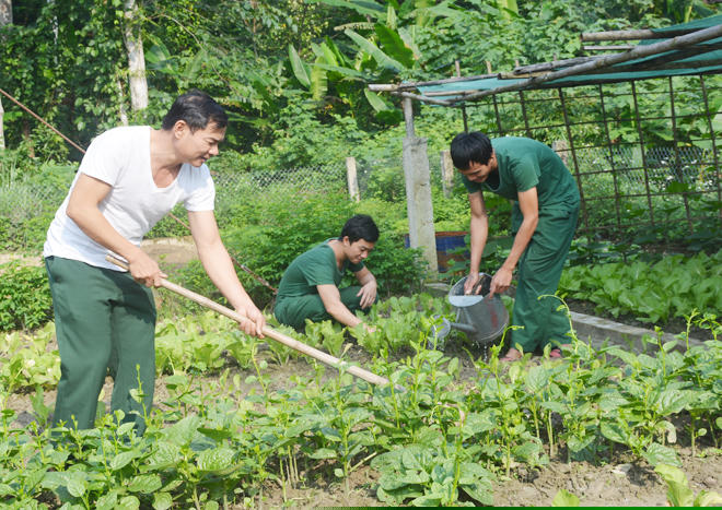 Cán bộ, chiến sĩ đồn Biên phòng Hương Quang tăng gia sản xuất cải thiện cuộc sống.