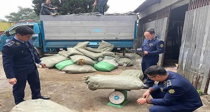 Kiểm tra đột xuất ô tô tải đang dừng đỗ, tạm giữ gần 2.000kg thuốc lá nhập lậu (Ảnh minh hoạ: NĐT).