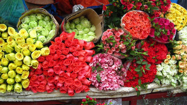 Chọn lựa hoa kỹ càng là một trong những bước quan trọng để giữ hoa được tươi lâu. Ảnh: minh họa