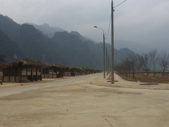 Năm nay cây đào được trồng nhiều, đối diện theo các gian hàng và dọc theo đọan đường từ sân khấu nổi đến gần sân vận động.
