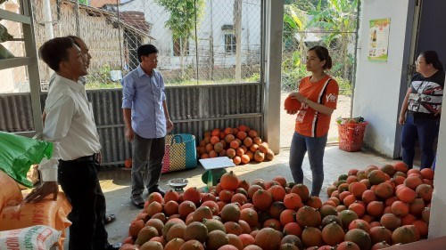 thu mua trai gac - Tra Vinh