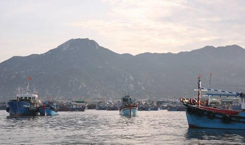 Địa ốc 24h: Căn hộ kiểu mới được lòng người mua trẻ, sẽ sớm có thông tư liên Bộ cho Condotel