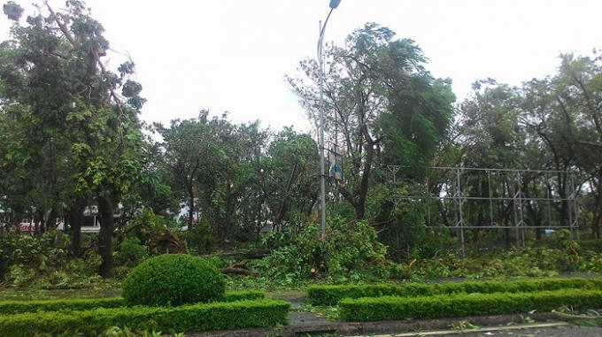 Vườn cây bóng mát khu vực hồ Vị Xuyên tan hoang sau bão số 1. Ảnh: Duy Tám.