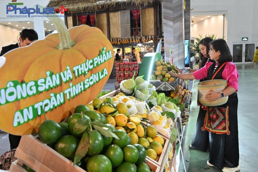 Khu vực trưng bày nông sản và thực phẩm an toàn tỉnh Sơn La.