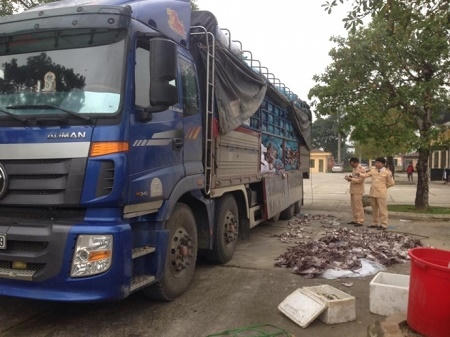 Chiếc xe tải hạng nặng đang chở hơn 20 tấn mực đang trong quá trình phân hủy. (Ảnh: Đông Bắc)