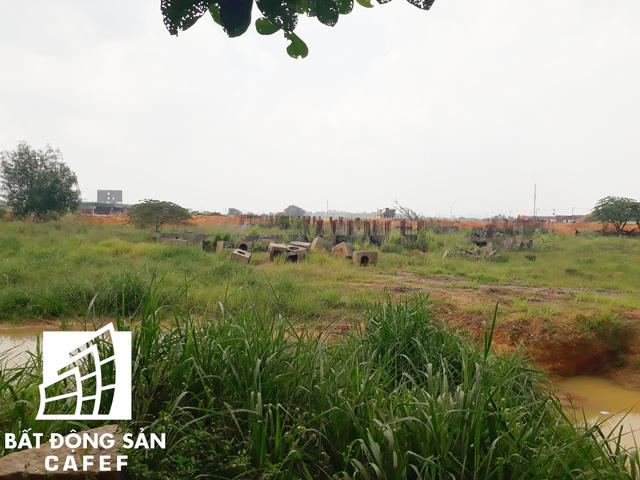 Phần lớn đất trong khuôn viên dự án là ao tù và cỏ dại vẫn chưa được san lắp mặt bằng.