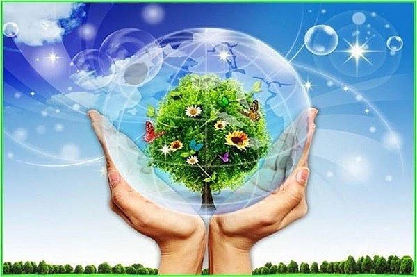 Sửa quy định về phát thải khí nhà kính và bảo vệ tầng ô-dôn.