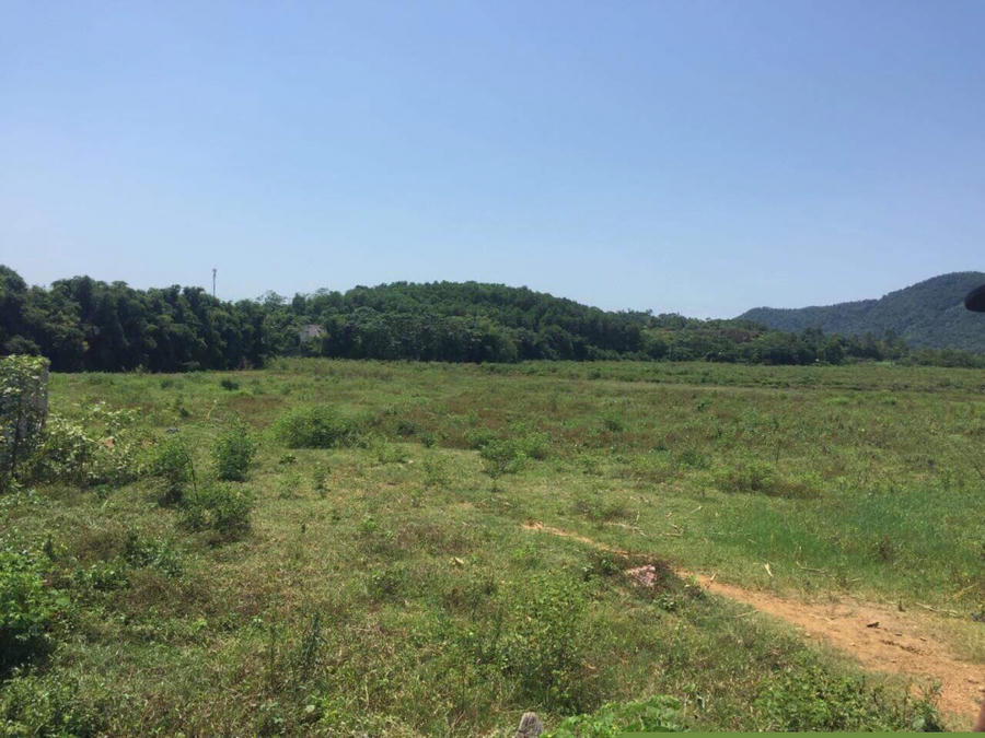 Một trong hai khu đất được giao cho người nhà ông Quyền. 