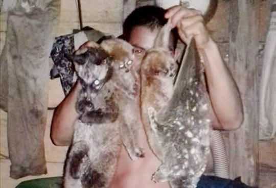 Ảnh: Gia Hưng ( Người lao động )