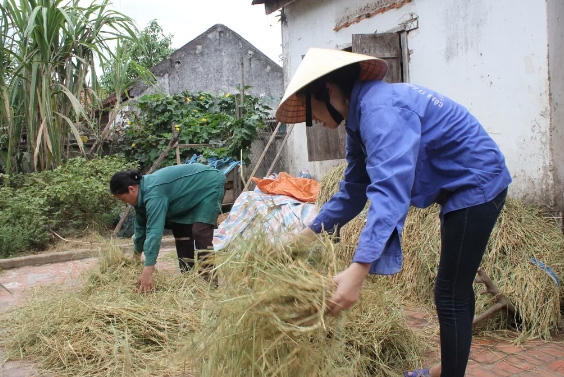 Đạt 24,5 điểm khối C, nữ sinh lo lỡ hẹn với giảng đường đại học vì quá nghèo