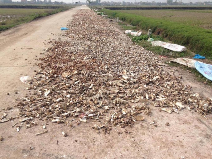 Nước thải đen ngòm và bốc mùi được người dân đổ trực tiếp ra môi trường.