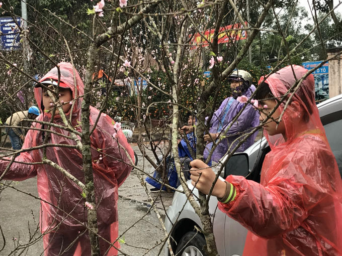 Một số em nhỏ cũng tranh thủ giúp bố mẹ ra đường bán đào tết.