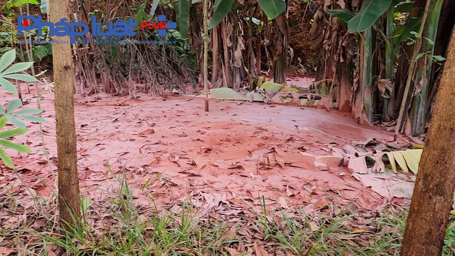 z3937506309293_14ec09fe40d2d52dd5610776e5292f46-1028