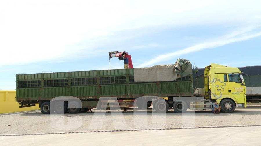 Xe tải chở vượt trọng tải lên đến hơn 400% so với tải trọng cho phép - Ảnh Công an Quảng Trị.