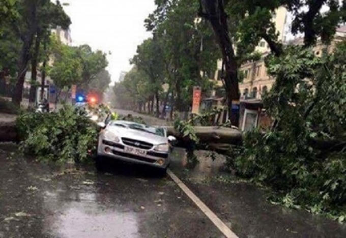 Nhiều phương tiện bị hư hại sau do cơn bão số 1.