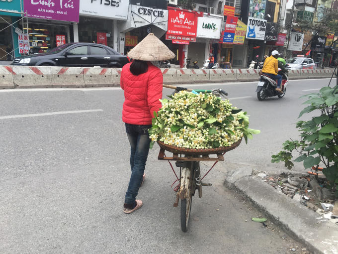 Vẻ đẹp tinh kh&ocirc;i hoa bưởi tr&ecirc;n đường phố H&agrave; Nội