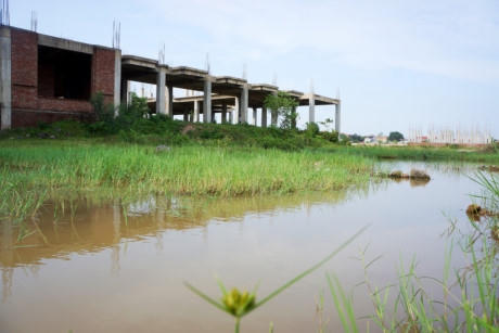 Nền sân cạnh tòa nhà thành các vùng trũng lầy lội, ngập đầy nước mưa, cây cỏ dại mọc um tùm.