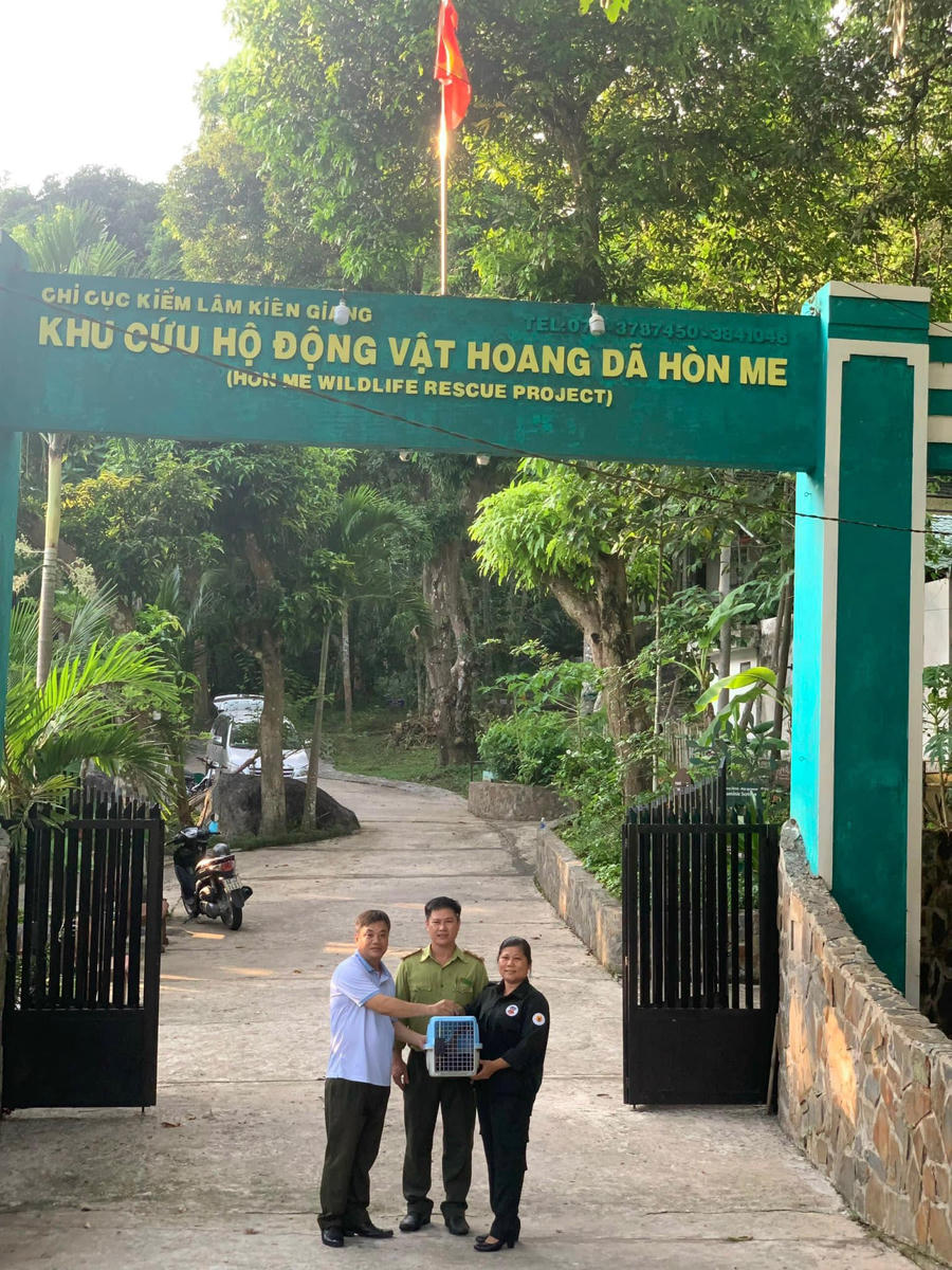 Cán bộ VQG Cát Tiên tiếp nhận cá thể vọoc Đông Dương từ Khu cứu hộ Động vật hoang dã Hòn Me.