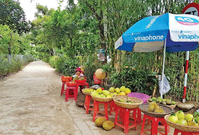 Cảnh yên bình ở làng trường thọ. Ảnh: Hoài Văn.