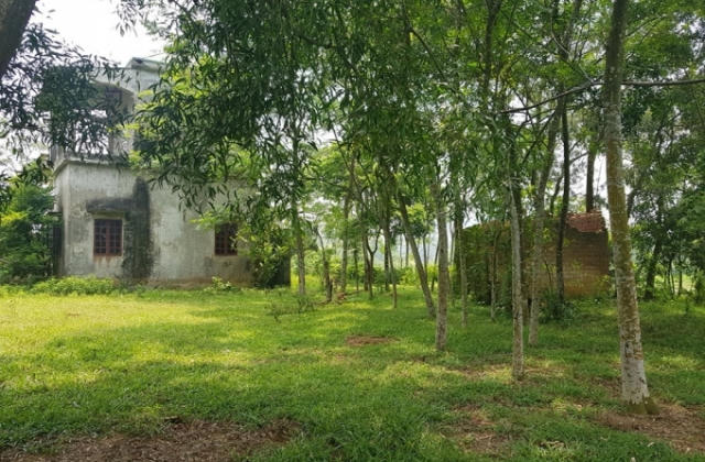 Vụ xâm hại 2 chị em gái: Đang giám định thai nhi