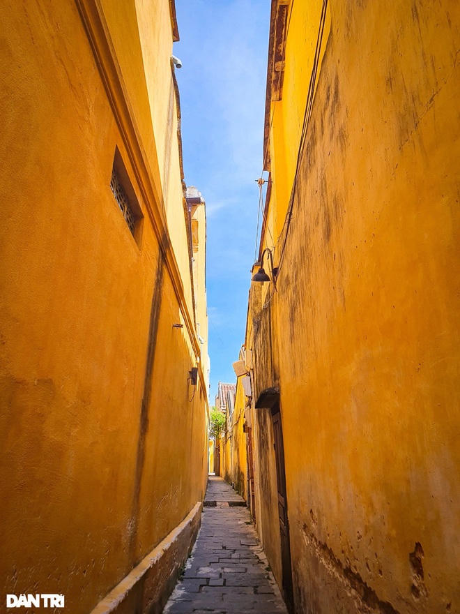 Những con hẻm với