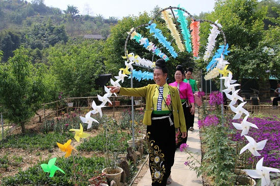 Một trong những điểm nhấn khi trải nghiệm trên đỉnh đèo đó chính là đồi chong chóng với nhiều màu sắc sặc sỡ, tung bay trong gió.