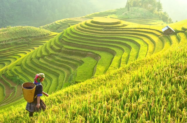 Tổng cục Du lịch sẽ đổi tên thành Cục Du lịch quốc gia Việt Nam