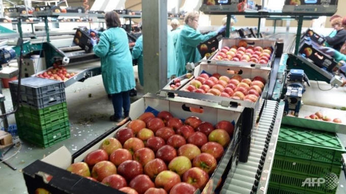 EU quyết định kéo dài lệnh trừng phạt Nga thêm 6 tháng. (Ảnh: AFP)