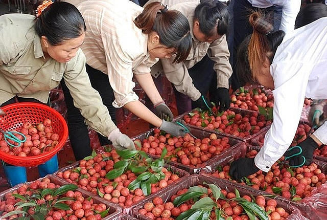 Ảnh minh họa. (Ảnh: Tạp Chí Công Thương)