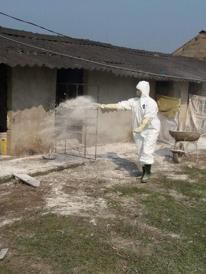 Sau khi phát hiện và tiêu huỷ, cơ quan chức năng đã chủ động phun thuốc phòng ngừa dịch.
