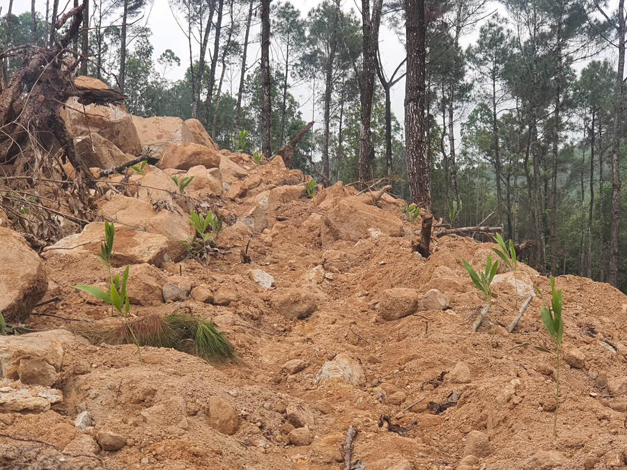 335098132_188445580561281_709047524074914945_n