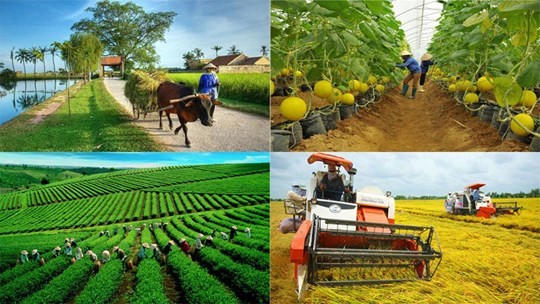 Kế hoạch tổng kết Chương trình mục tiêu quốc gia xây dựng nông thôn mới giai đoạn 2021 - 2025. (Ảnh minh họa)