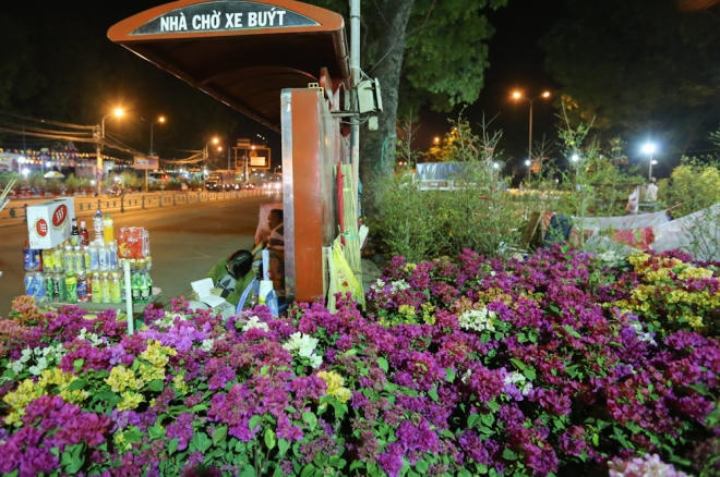 Chị Mai (quê Bến Tre) đọc sách trong lúc trông hoa ban đêm tại trạm xe buýt.