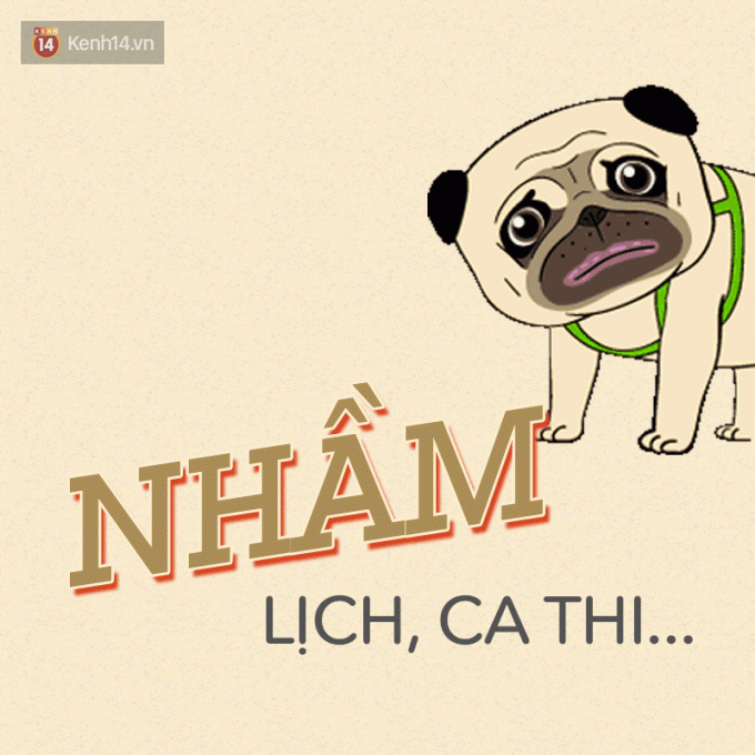 Khi "cá vàng" đi học...