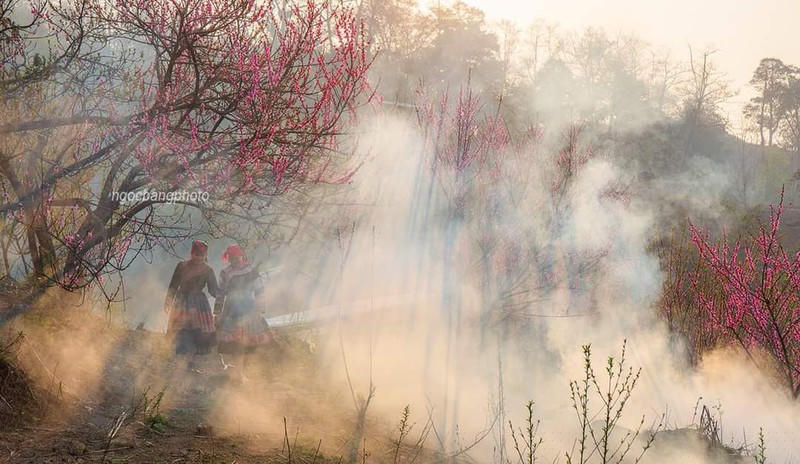Y Tý là nơi lý tưởng cho những du khách yêu cảnh sắc núi rừng. Ảnh: Ngọc Bằng