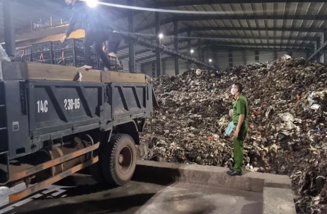Quảng Ninh: Bắt giữ và tiêu hủy gần 36.000 con giống gia cầm nhập lậu