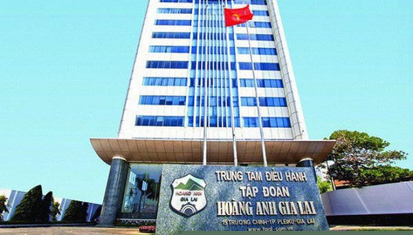 Lãi sau thuế của HAGL Agrico tăng 6,6 tỷ đồng trong khi doanh thu thuần giảm mạnh