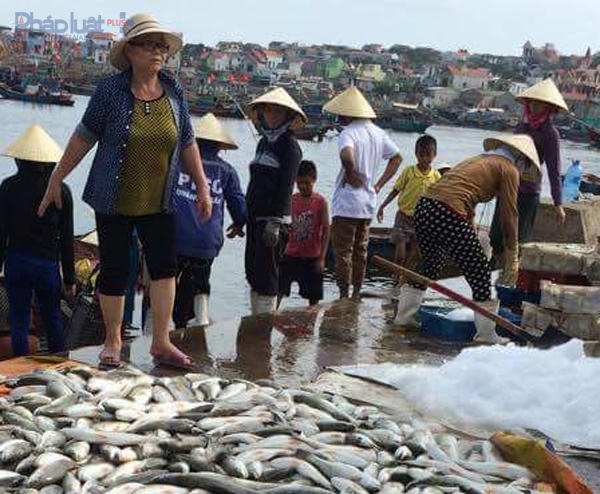 Gần 50 tấn cá lồng chết bất thường tại xã Nghi Sơn (Tĩnh Gia-Thanh Hóa) được khảng định là do thủy triều đỏ. (Ảnh: A.Thắng)