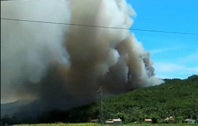 Ngọn lửa lớn bùng cháy tại khu vực rừng thông tạo thành một cột khói cao.