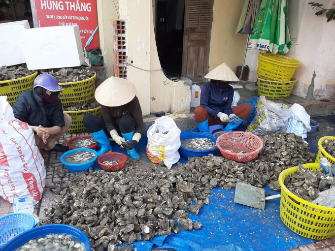 152607009_255317002727387_2880739005906827050_n