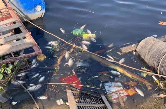 Sông Cầu ô nhiễm, lộ diện 97 cơ sở gây ô nhiễm môi trường tại TP Bắc Ninh