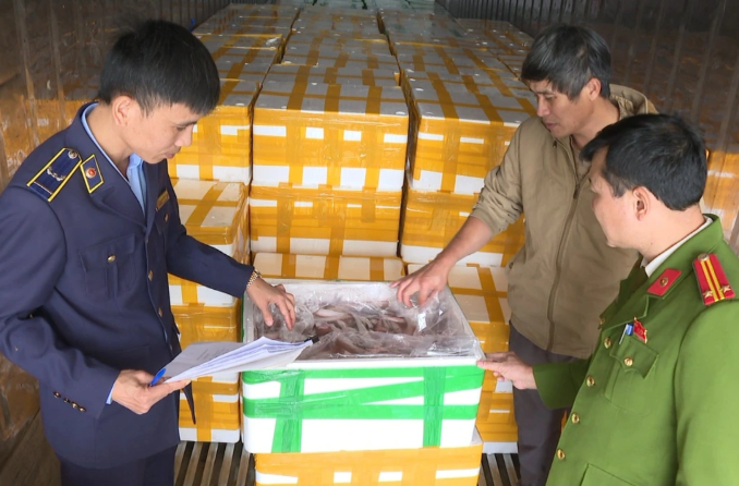Lực lượng chức năng kiểm tra số cá khoai ướp formol (Ảnh: Công an Thanh Hóa).